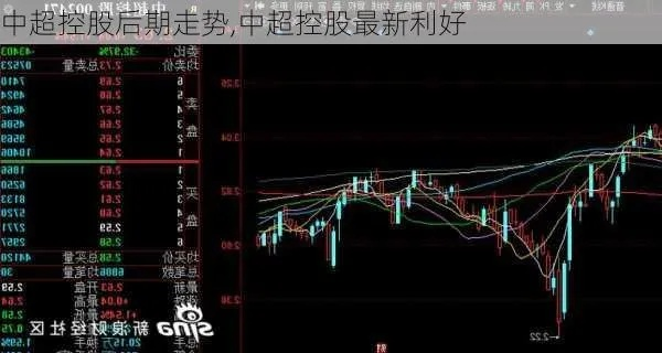 中超控股最新利好消息介绍-第3张图片-www.211178.com_果博福布斯