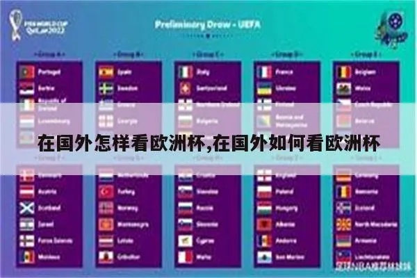 外国用什么看欧洲杯 外国用什么看欧洲杯比赛-第3张图片-www.211178.com_果博福布斯