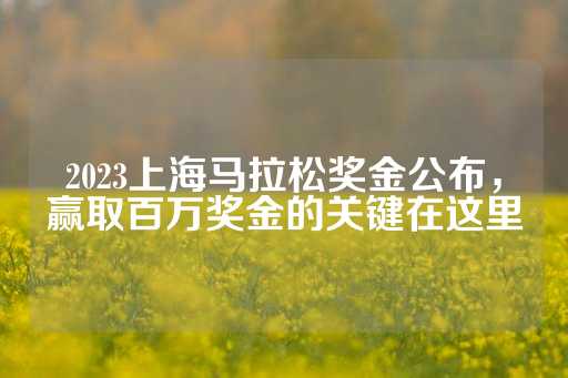 2023上海马拉松奖金公布，赢取百万奖金的关键在这里-第1张图片-皇冠信用盘出租