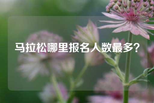 马拉松哪里报名人数最多？