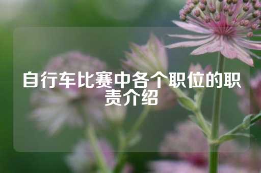 自行车比赛中各个职位的职责介绍-第1张图片-皇冠信用盘出租