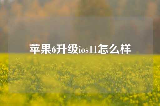 苹果6升级ios11怎么样-第1张图片-皇冠信用盘出租