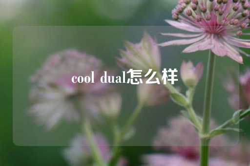 cool dual怎么样